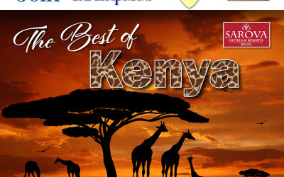 The Best of Kenya November or December 2024!