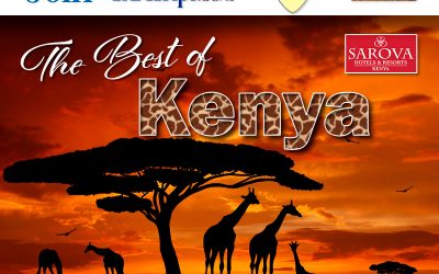 The Best of Kenya November 2025 or May 2026 or November 2026!