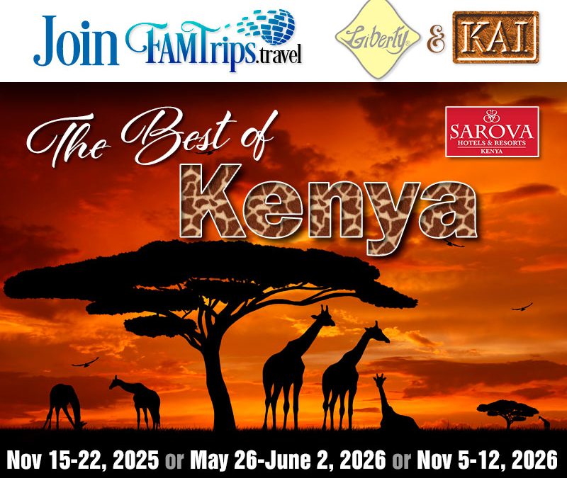 The Best of Kenya November 2025 or May 2026 or November 2026!