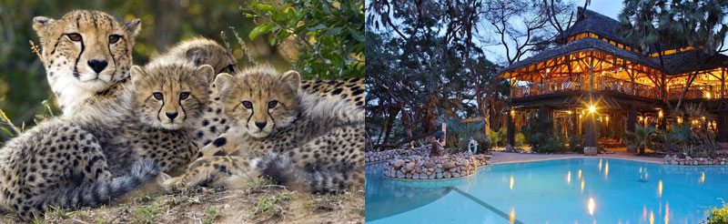 Sarova Shaba Game Lodge Samburu
