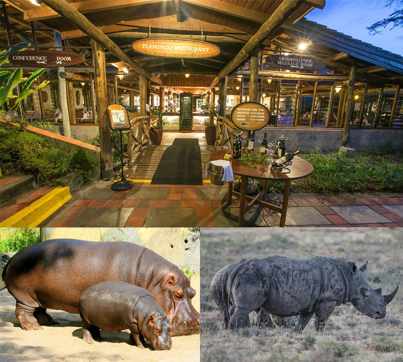 Sarova Lion Hill Game Lodge Lake Nakuru