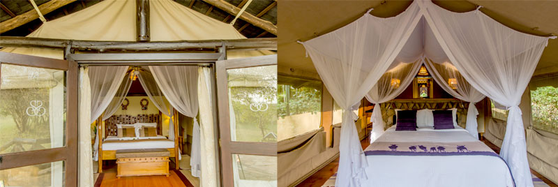 Safari game drive Masai Mara